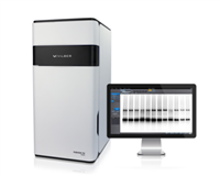 Fusion FX SPECTRA化學(xué)發(fā)光&多色熒光成像